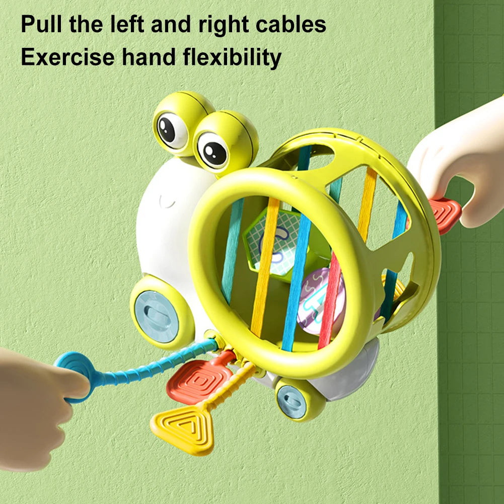 Shape Sorting and Matching Toy