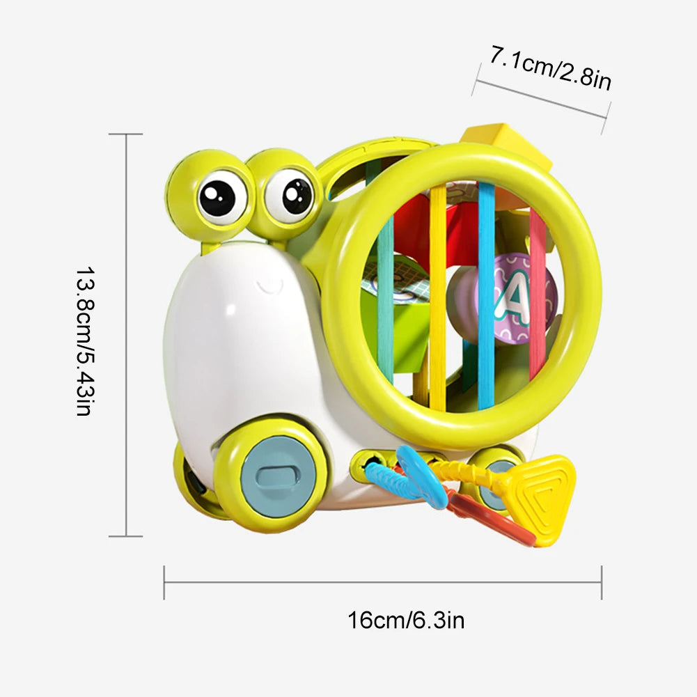 Shape Sorting and Matching Toy