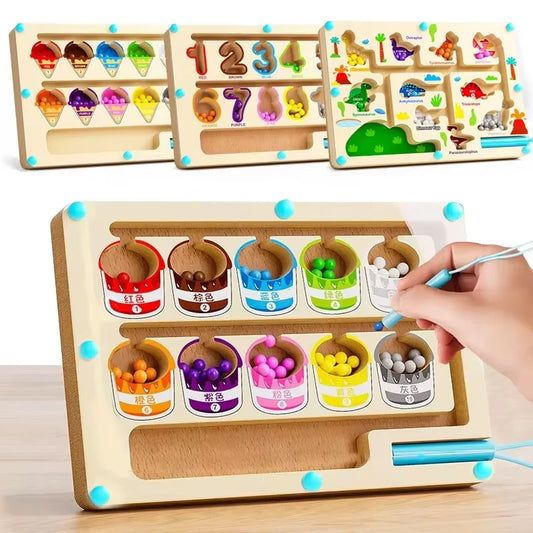 Montessori Magnetic Color Sorting Game